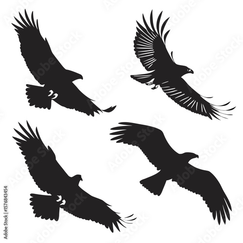 Four black eagle silhouettes in flight and diving flying wings spread