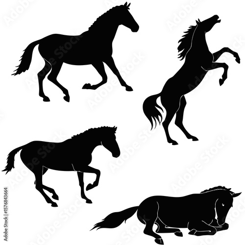 Four black horse silhouettes in various poses white galloping