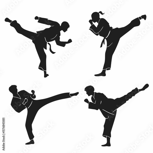 Martial artists performing dynamic kicking maneuvers in silhouette martial arts karate