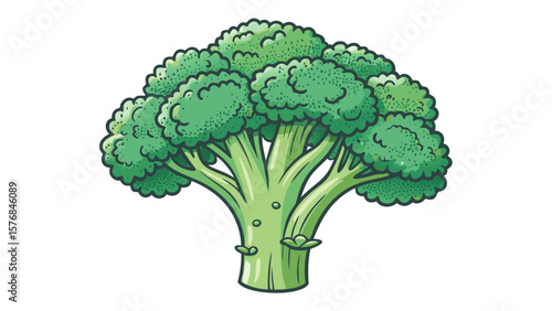 Broccoli Vector – Colorful Vegetable Illustration