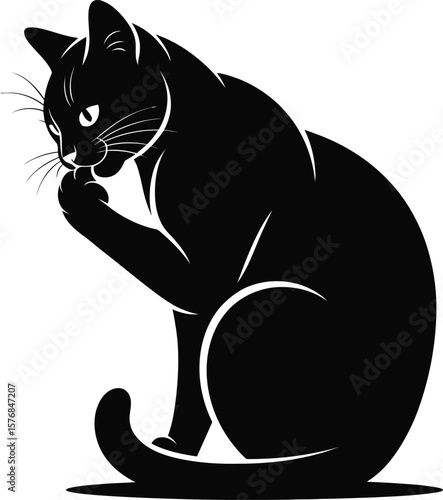 Black cat grooming paw feline cleaning