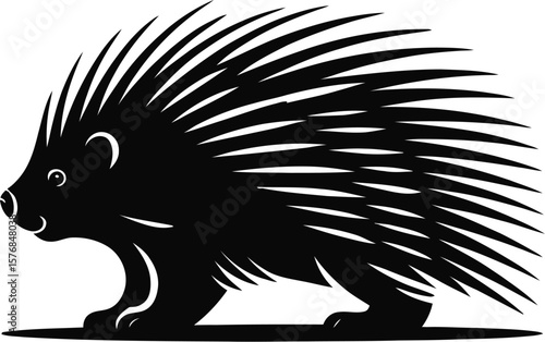 Black porcupine silhouette animal white background