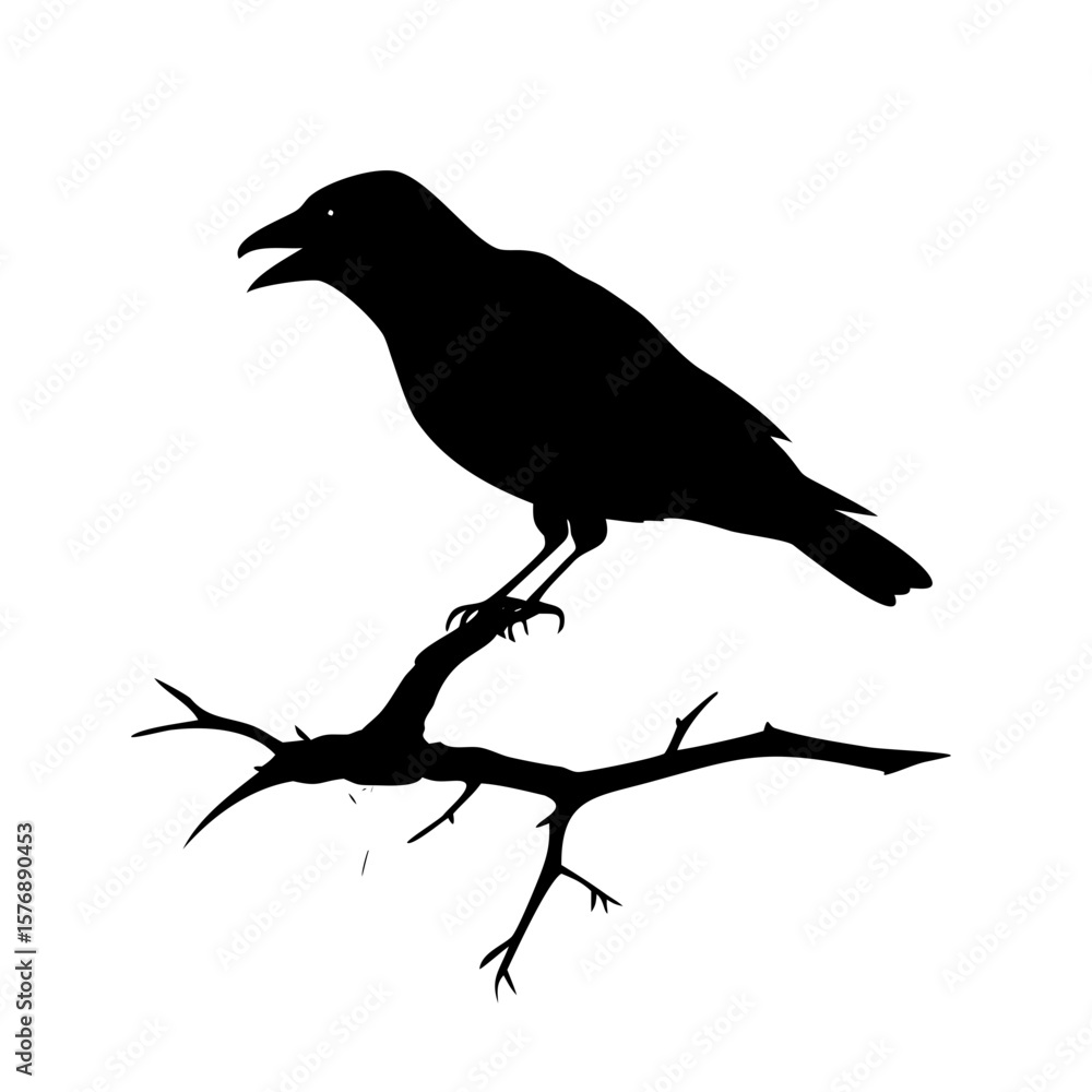 Fototapeta premium Black bird sitting on a dry branch skull Vector