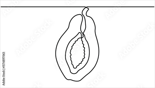 Continuous one single minimal line drawing papaya. Continuous single one line drawing of fresh papaya exotic tropical fruit vector illustration.