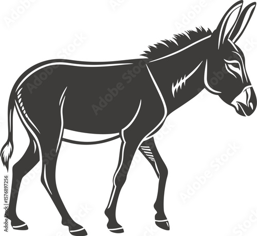 donkey and foal