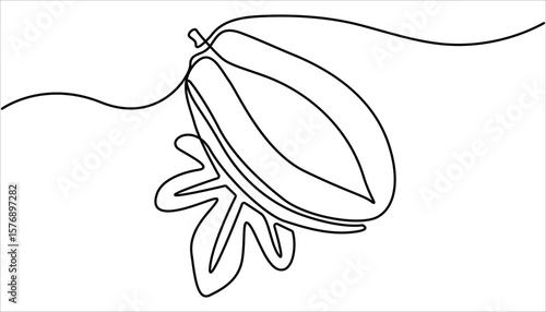 Continuous one single minimal line drawing papaya. Continuous single one line drawing of fresh papaya exotic tropical fruit vector illustration.