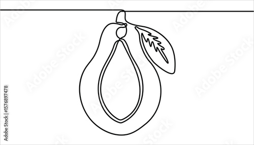 Continuous one single minimal line drawing papaya. Continuous single one line drawing of fresh papaya exotic tropical fruit vector illustration.