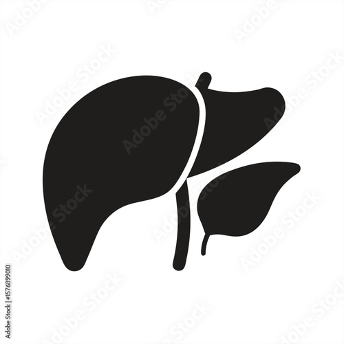 Liver And Gallbladder Silhouette on transparent background for web and graphic design