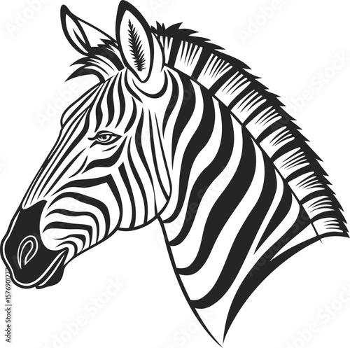 zebra vector illustration