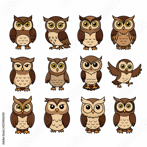Cute owl characters set, various poses, brown color palette