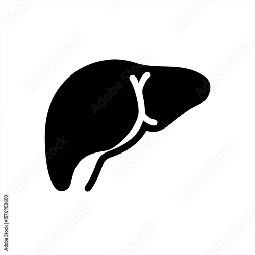 Human Liver Silhouette on transparent background for web and graphic design