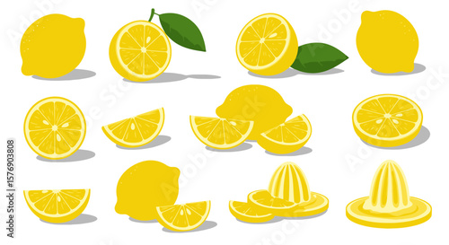 Lemon Vector Collection: Citrus Fruit Illustration Set