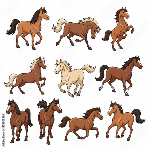 Horses in various poses and colors, equine animal collection