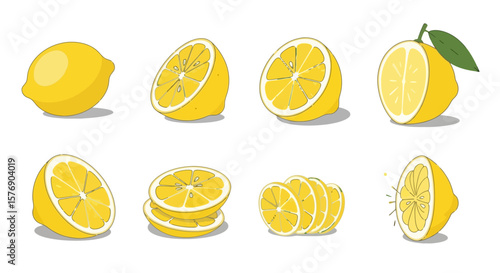 Lemon Variety: Fresh Cut Fruit Illustration