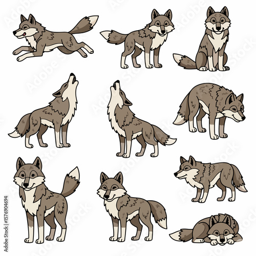 Wolf poses collection, various actions, animal set
