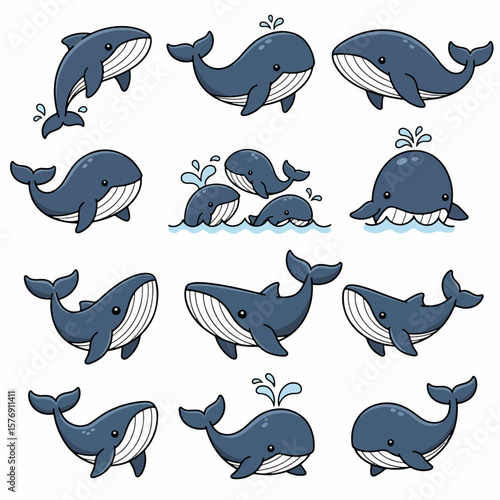 Blue whales in various poses, playful marine animals