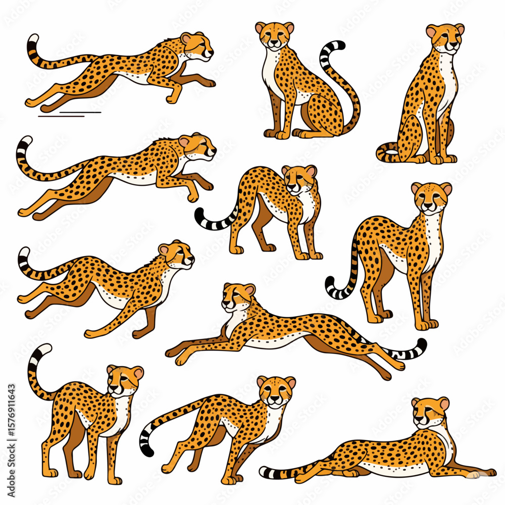 Obraz premium Cheetah poses collection, animal wildlife, running and resting