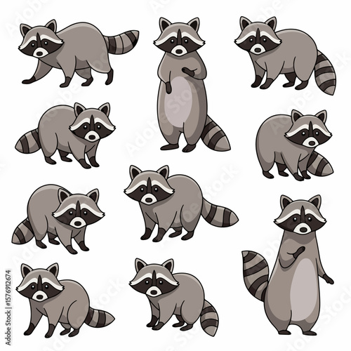 Tableau sur toile Raccoon poses collection, animal characters, wildlife