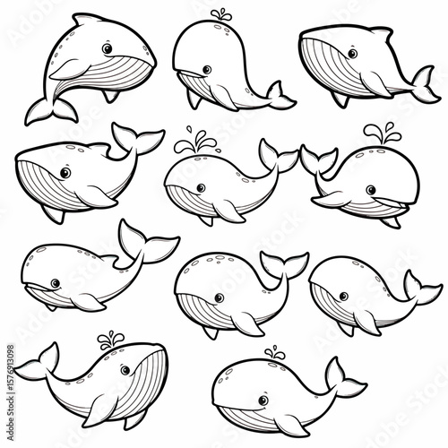 Whales outline collection for kids, educational materials