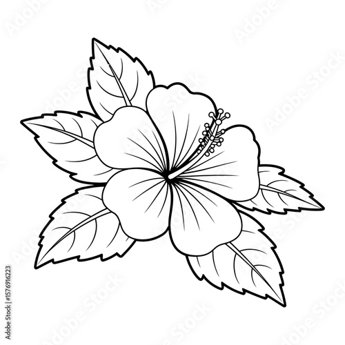 Hibiscus flower with leaves line art floral botanical