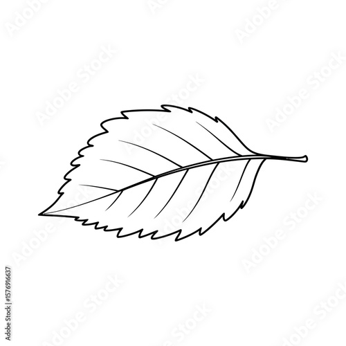 Jagged Leaf Outline black and white nature