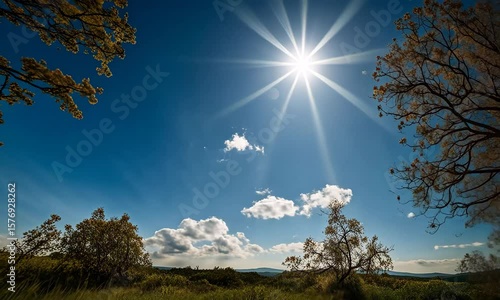 Sunlight Shining Through Trees Under a Bright Blue Sky with Soft White Clouds in a Peaceful Natural Landscape