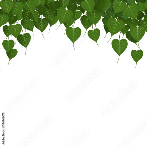 Bodhi Tree Branch and Bo Leaves , Sacred fig leaves Vector for Vesak Day – Sacred Buddhist Symbol Illustration
