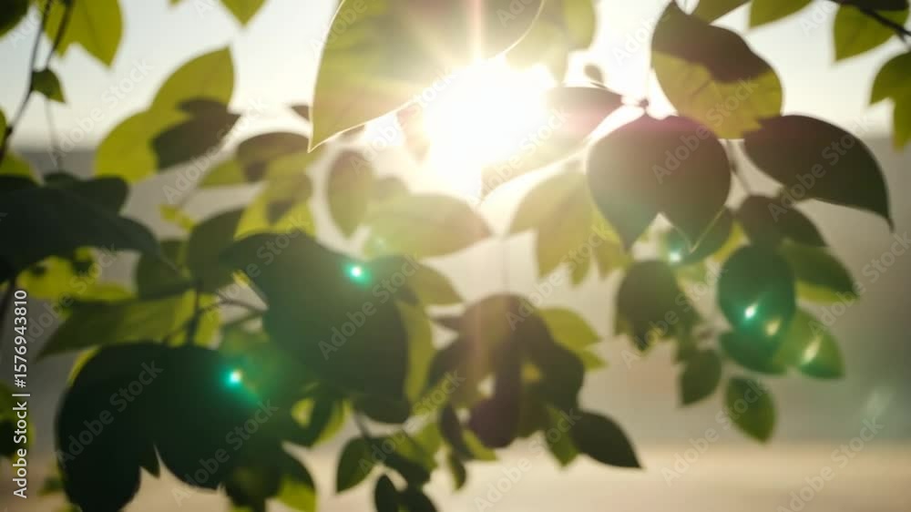 abstract background with leaves abstract background with leaves