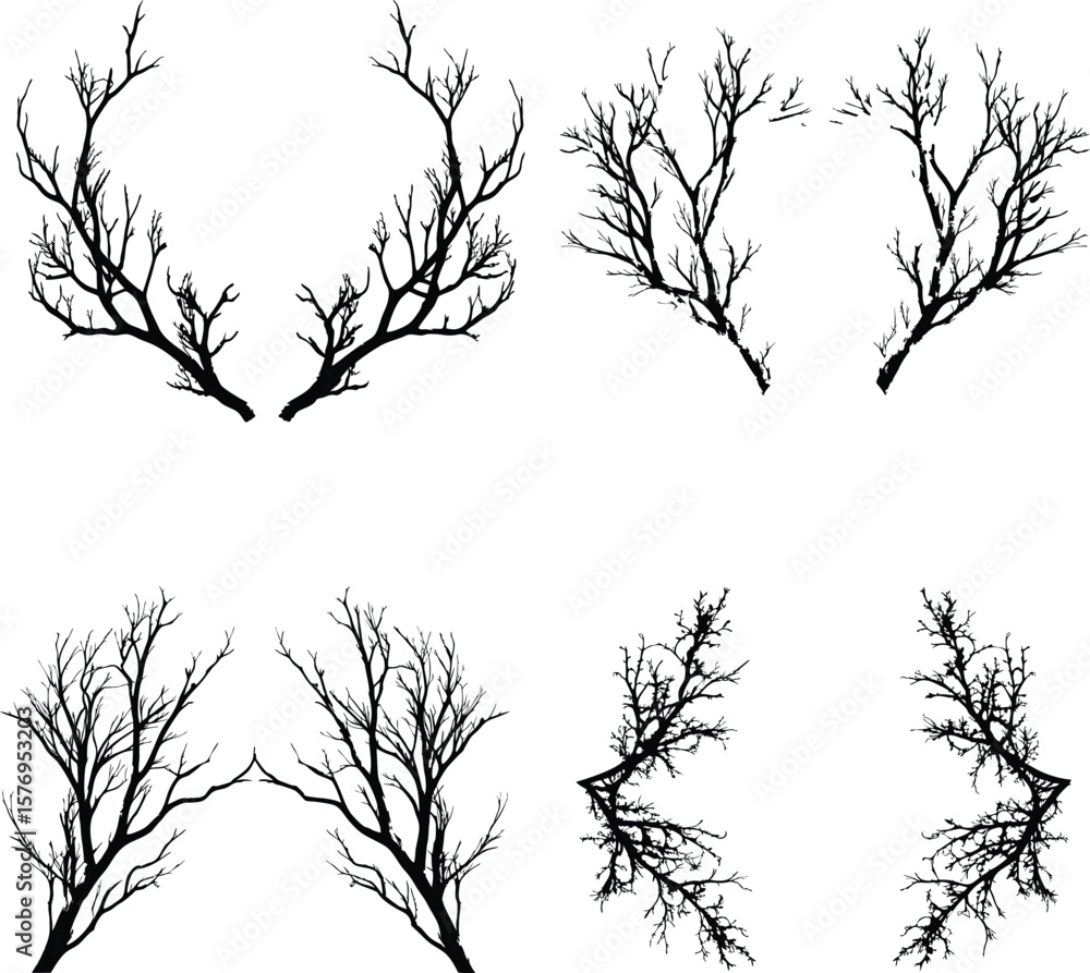 Obraz premium Bare tree branches black tree branches silhouettes against a white background
