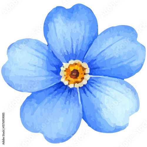 hand-painted watercolor of blue anemone flower isolated on a white background