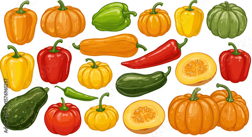 Colorful collection of fresh peppers, pumpkins, and squash in vibrant vector art