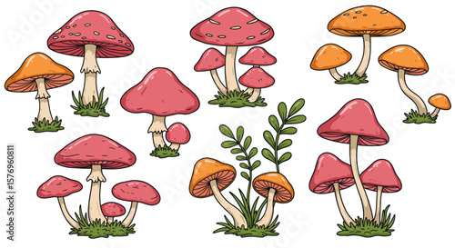 Colorful mushrooms set with grass in cartoon style