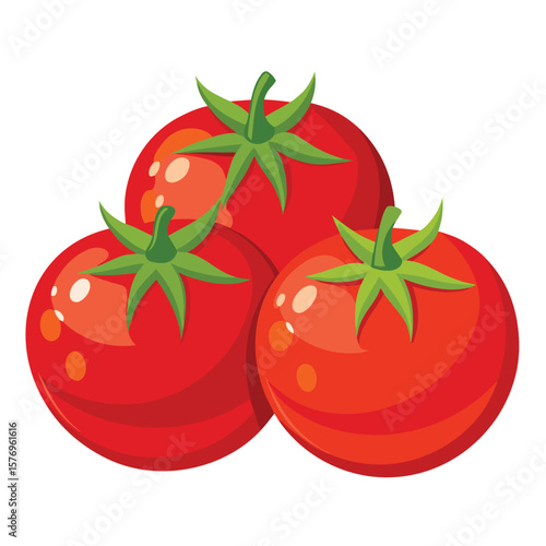 tomatoes vector vegetable