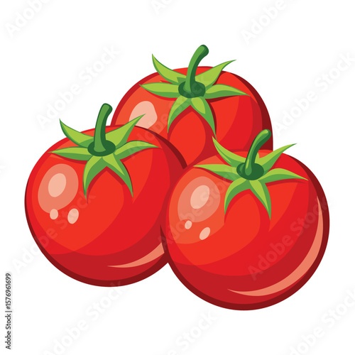tomatoes vector vegetable