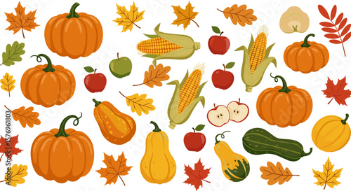 Autumn harvest pattern: pumpkins, squash, corn, apples, and fall leaves