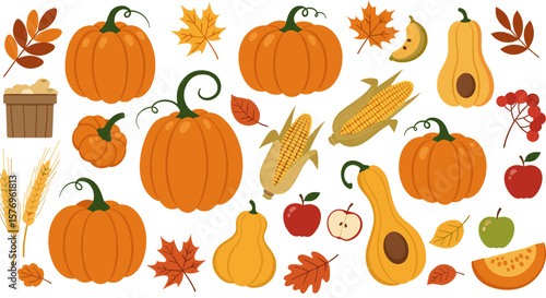 Autumn harvest elements: pumpkins, leaves, and seasonal produce in flat design
