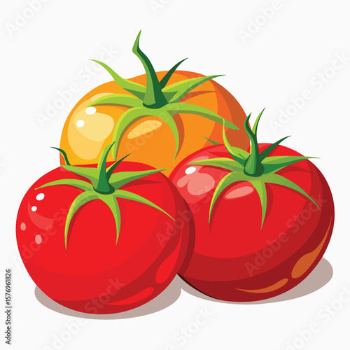 tomatoes vector vegetable