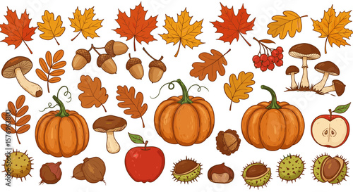 Autumn harvest set with pumpkins, leaves, acorns, and mushrooms in hand-drawn style
