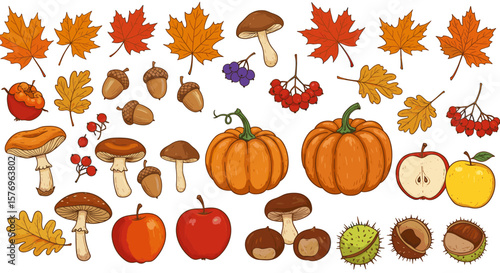Autumn harvest: pumpkins, leaves, and seasonal fruits collection in colorful cartoon style