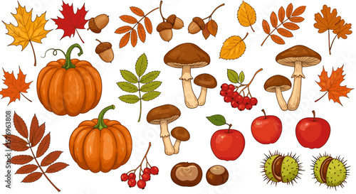 Autumn harvest elements with pumpkins, mushrooms, and leaves