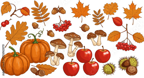 Autumn harvest with pumpkins, mushrooms, apples, and colorful leaves in hand-drawn style