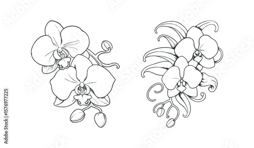 Delicate orchid flower arrangements are presented in a black and white sketch, showcasing their elegant petals and intricate details, isolated on white background