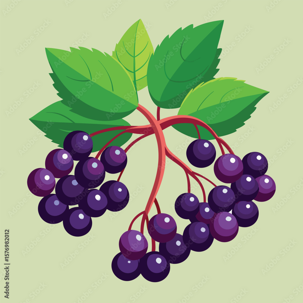 Fototapeta premium Cartoon Loquat Fruit Vector Illustration. Fruits vector.