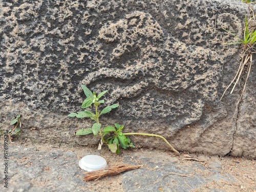 A spiritually resonant view of Thirukazhukundram, Tamil Nadu, India, capturing both the hilltop Vedagiriswarar Temple and the ancient foothill temple complex. The hill temple, dedicated to Lord Shiva,