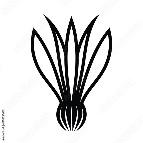 Chive Sprout Outline Vector Illustration
