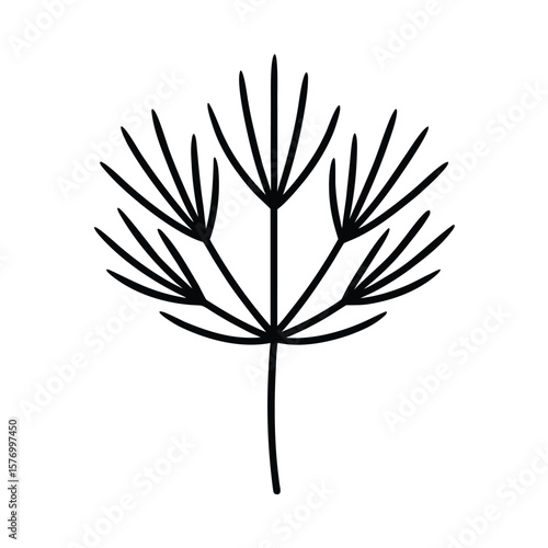 Dill Sprig Outline Vector Illustration