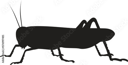 Garden insect vector silhouette collection