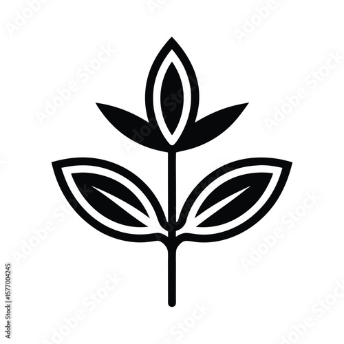 Sage Sprout Outline Vector Illustration
