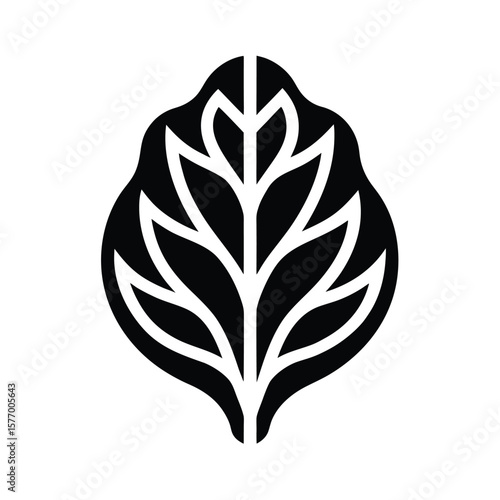 Swiss Chard Leaf Outline Vector Illustration