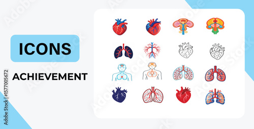 set of abstract vector human organ icon set